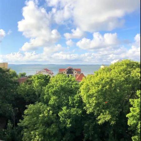 Appartement Vue Sur Baie Et Ocean, 100 M De La Plage Et Du Centre Par Chemin Prive Аркашон Екстер'єр фото