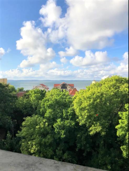 Appartement Vue Sur Baie Et Ocean, 100 M De La Plage Et Du Centre Par Chemin Prive Аркашон Екстер'єр фото