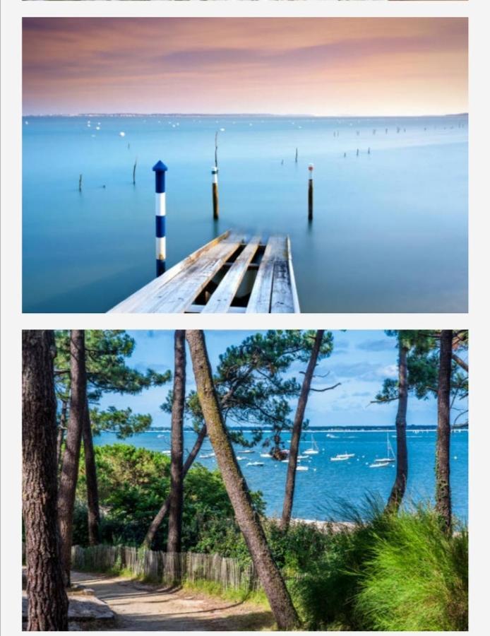 Appartement Vue Sur Baie Et Ocean, 100 M De La Plage Et Du Centre Par Chemin Prive Аркашон Екстер'єр фото